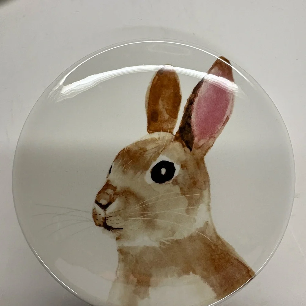 Arlington Designs Easter Bunny dessert appetizer Plates - Set of 4